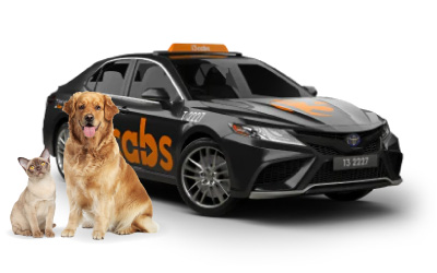 13cabs Taxi For Pets